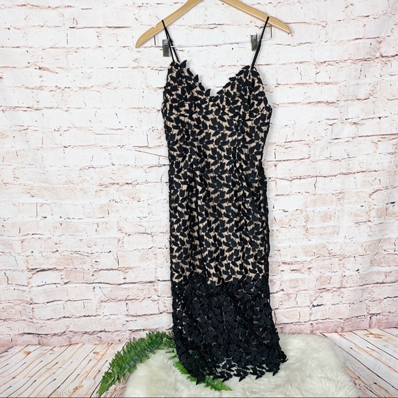 Bardot Black Flora Lace Dress Small - Picture 2 of 8